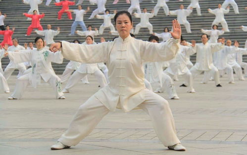  太极拳的好处太多了,连老外都开始练习了