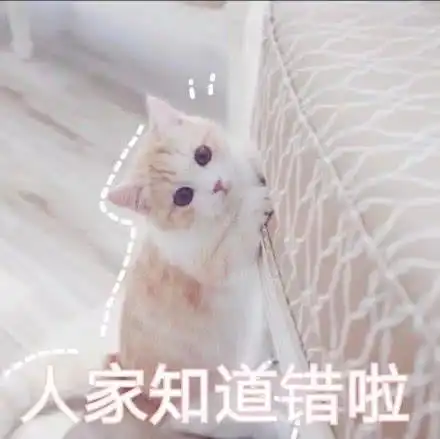 表情包软萌猫咪撒娇卖萌系列软妹必备 表情包软萌猫咪撒娇卖萌系列软妹必备