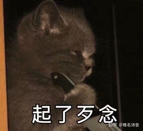  被人偷拍是种怎样的体验