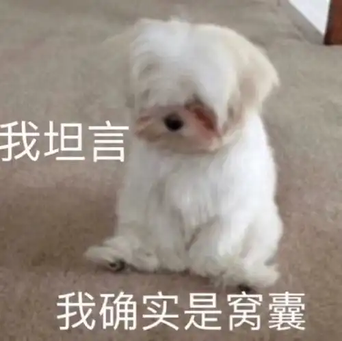 沙雕表情包清醒清醒吧你 沙雕表情包清醒清醒吧你