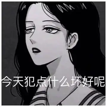 我的收藏 我的收藏