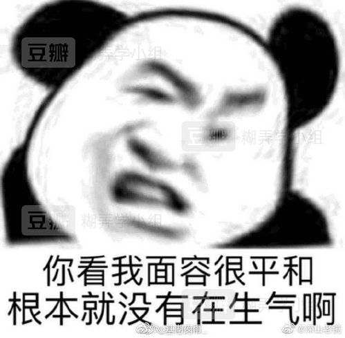  从室友身上学到的万能糊弄大法