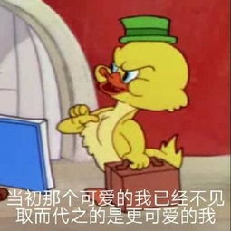  小可爱的表情包合集你说我小可爱,是不是喜欢我啊