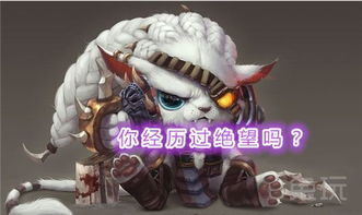  每日撸坛你经历过绝望吗