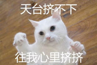  什么于洋换备胎了