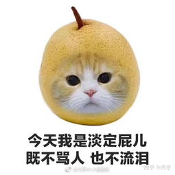  为什么明明自己很好相处,但是别人就觉得你难以接近很高冷,很多和我熟了的人在我不认识的时候都这么说
