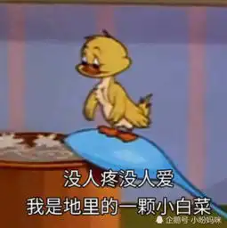 猫和老鼠表情包之厌世篇没人疼没人爱,我是地里的一颗小白菜 猫和老鼠表情包之厌世篇没人疼没人爱,我是地里的一颗小白菜