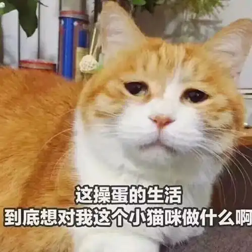 五月天演唱会怎么样心疼自己 五月天演唱会怎么样心疼自己