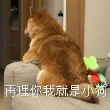 萌宠表情包做狗不好吗为什么要谈恋爱 萌宠表情包做狗不好吗为什么要谈恋爱