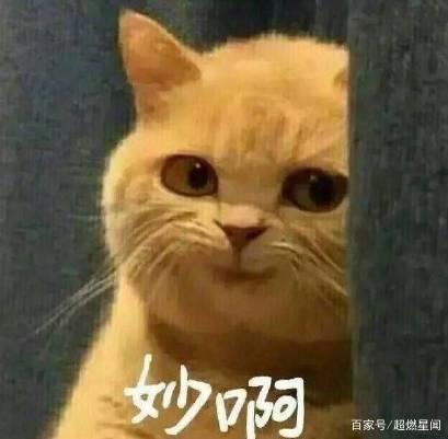  兢兢业业熬到2021,是时候让钱包富足一点了