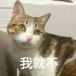  表情包我超可爱堆糖,美好生活研究所