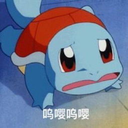  杰尼龟表情包合集让爷好好看看你这个憨批