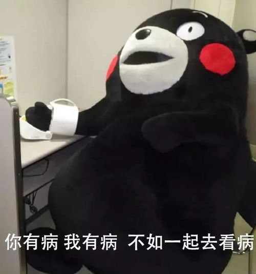  熊本熊表情包你单身,我单身,不如咱俩去结婚