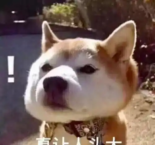  狗儿不是啥子品种都能养,养狗证必须要办