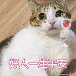  自行车撞烂轿车交警你没看错网友求自行车链接