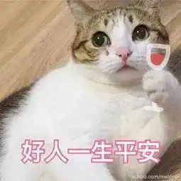  自行车撞烂轿车深圳交警你没看错网友求自行车链接