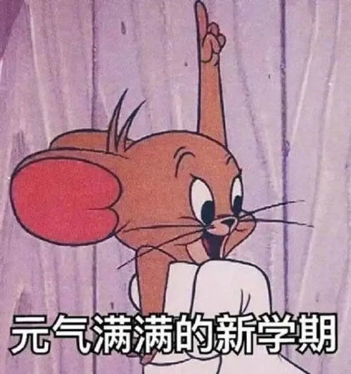  沙雕可爱的开学文案来啦内含开学表情包