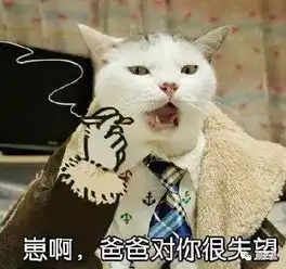  才开始录两天就爆出各种黑幕这节目里真的有嘻哈吗