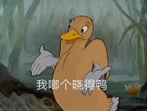  e句话看天下丨胡杏儿,冠军当之无愧