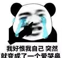  狗狗会哭的谎言,到底还有多少人在信