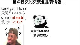  日本人真的懂这些表情包的含义吗