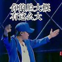  pgone万磁王表情包微信头像图片大全