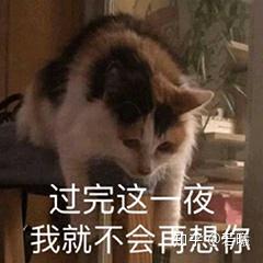我崩溃了表情包形容