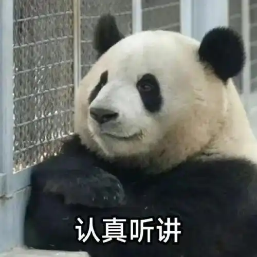 太真实了熊猫表情包头罩
