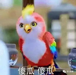  每日一荐楚乔传最全表情包