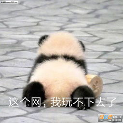  你穿的再多心里没我还是冻死你的图片一起整一个小孩的表情包下载乐游网游戏下载