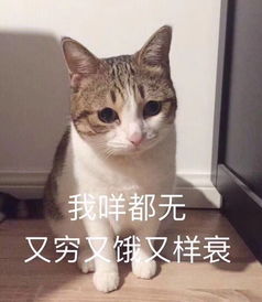  选对了好房子,就是选对了好的生活圈圈圈圈圈圈圈圈