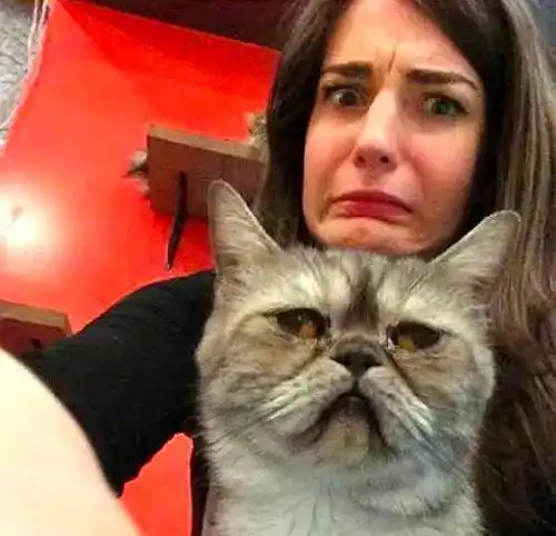 猫咪绝育后,主人亲亲都安慰不好,看到猫咪表情,主人差点笑喷 猫咪绝育后,主人亲亲都安慰不好,看到猫咪表情,主人差点笑喷