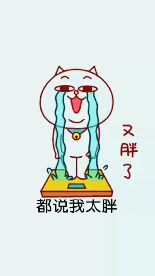 都说我胖了,问题是哎搞笑视频表情包经典段子