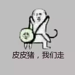  皮皮虾,我们走没时间解释了