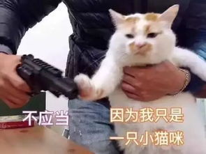  消防安全大家谈吃出来的火灾隐患,细数厨房里的危险操作