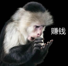  早高峰之后,网约车司机去做了什么事