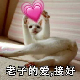  最新老子的爱收好表情包大全老子的爱请收好表情包王境泽民国合集