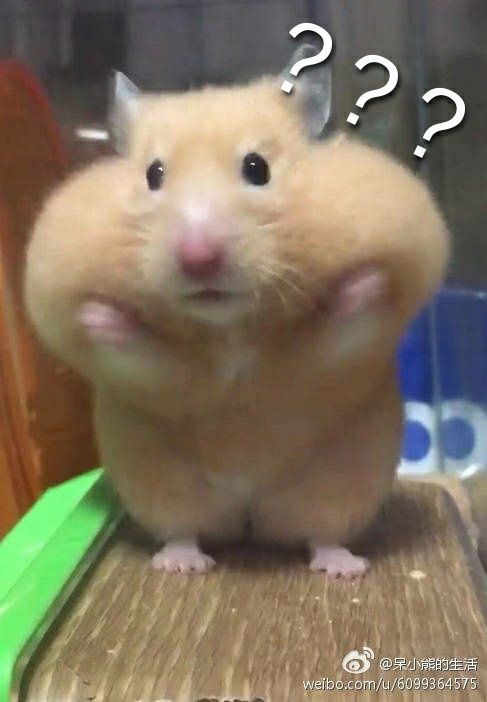  段子