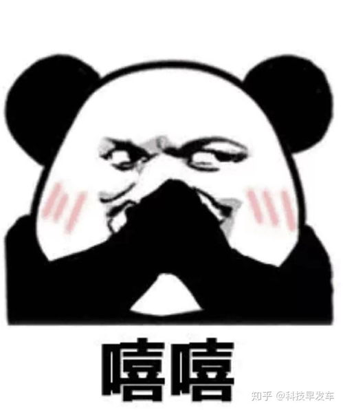  花钱买教训3000元的投影和电视,差距到底有多大