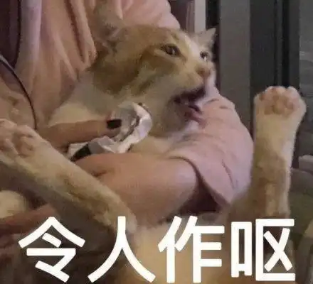 美了美了歌词表情包小老