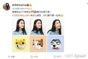 捂脸表情包什么意思挂科