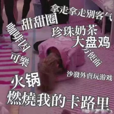 美了美了歌词表情包减肥