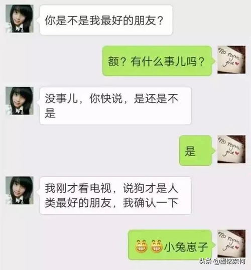 开心笑话女友喝多了,蹲在门口跟我家狗谈人生,结果狗都不理她 开心笑话女友喝多了,蹲在门口跟我家狗谈人生,结果狗都不理她