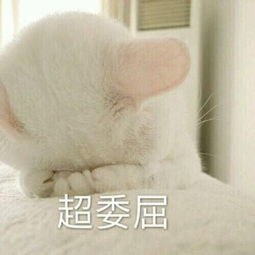  韩网粉丝分析出的历代exo收录曲真正的概念很了不起就是了
