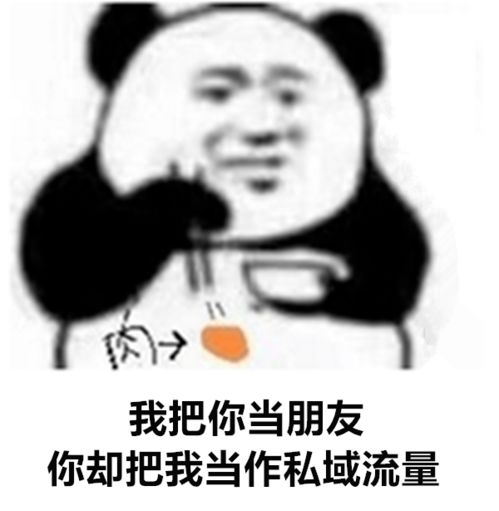又不理我了表情包熊猫