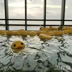 冰阔落表情包趣图
