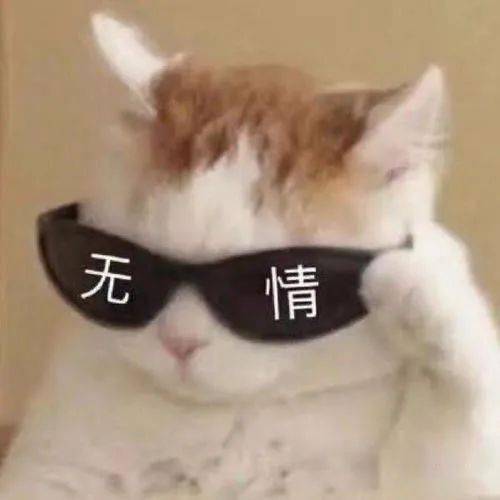 承您贵言表情包哥哥