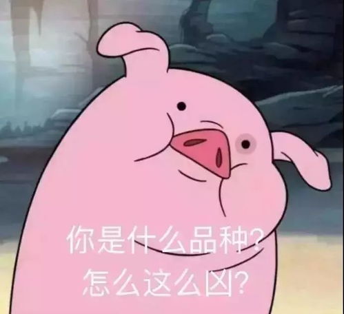  你有没有爱错人,看看就知道