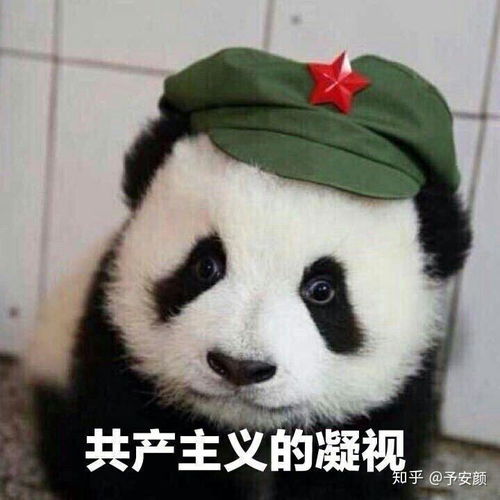  你玩炉石传说有哪些有趣的截图