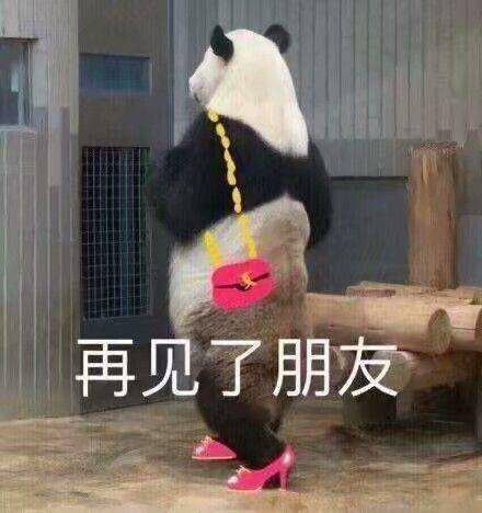  搞笑gif段子猫咪老爷吩咐了,要我好好照顾少爷,不照顾好我今天没饭吃